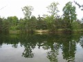 Matthaei Botanical Gardens 2010 0490